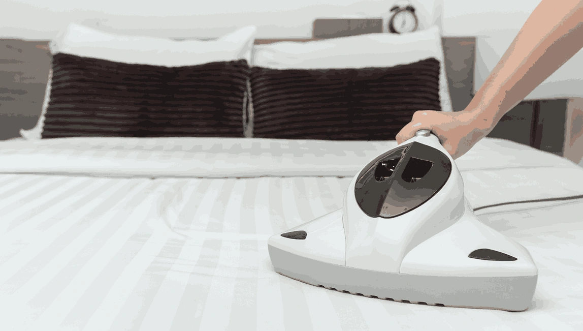 Professional Mattress Cleaning Springfield